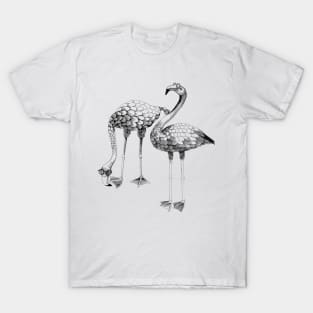 Flamingo Spectacles T-Shirt